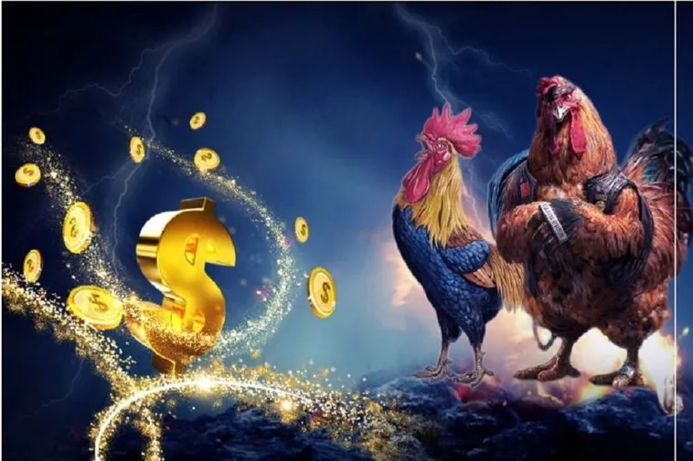 Đá Gà U888: Trải Nghiệm Cá Cược Kịch Tính Hàng Đầu 2025 1 Đá Gà U888: Trải Nghiệm Cá Cược Kịch Tính Hàng Đầu 2025