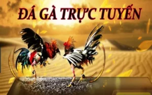 Bí Quyết Cách Chơi Đá Gà Sabong Tại U888 Thành Công Nhất