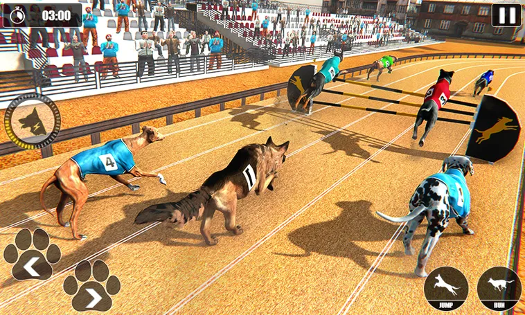 Cách Chơi Game Nhanh Đua Chó Tại U888: Bí Kíp Chiến Thắng 2 Cách Chơi Game Nhanh Đua Chó Tại U888: Bí Kíp Chiến Thắng